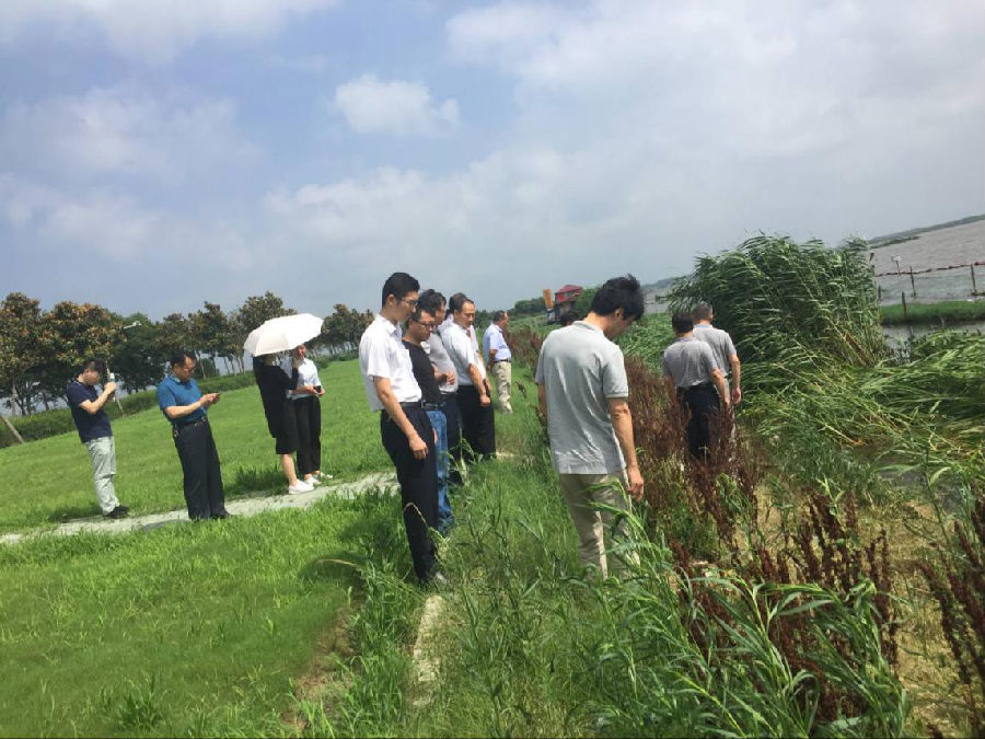 1542088875959092.png 1542088875959092.png